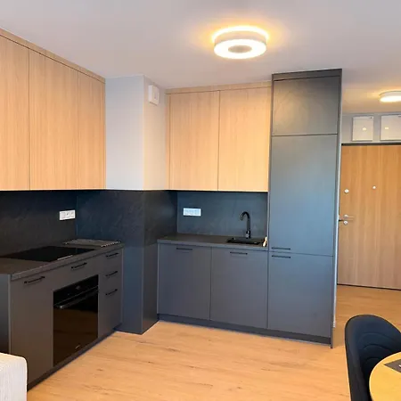 Elite 7a Jezyce - Baranczaka Apartment Poznan